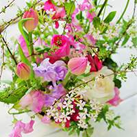 早春のお花